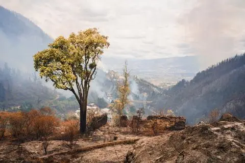 Guápulo, 2024. The hillside fires.